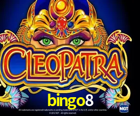 Cadastro rápido e seguro na bingo8
